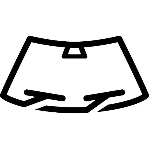 Driver assistance system icon